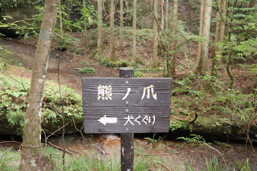 熊の爪の看板