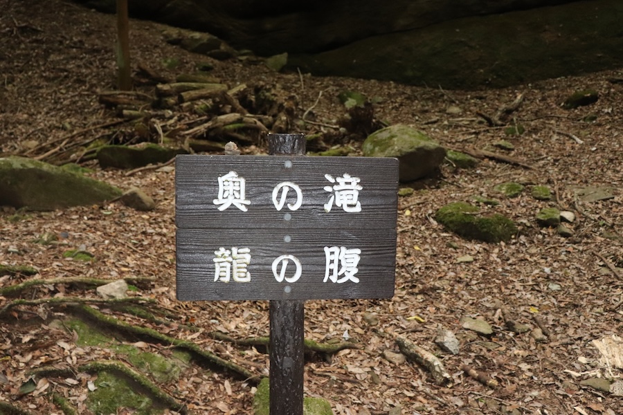 龍の腹の看板