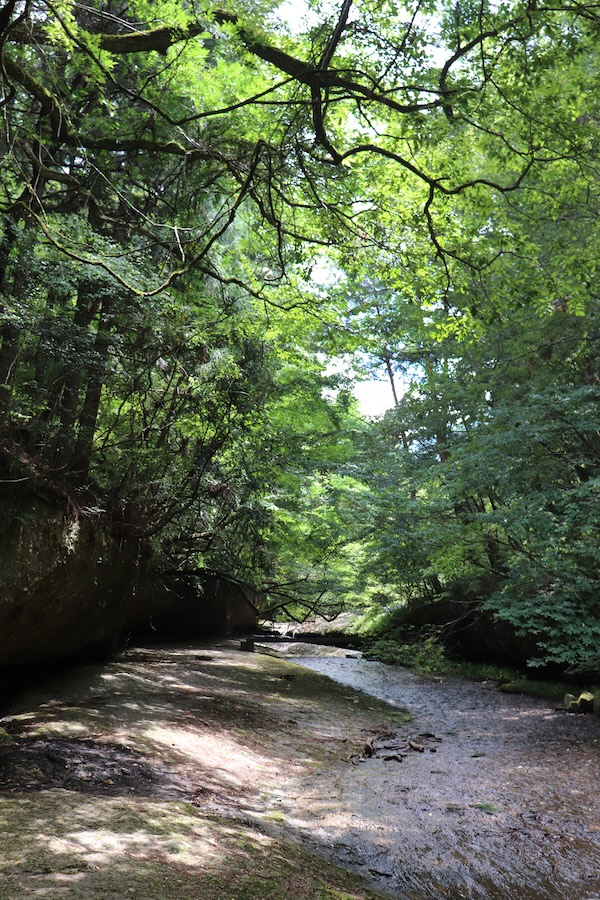 滑川の景色画像１