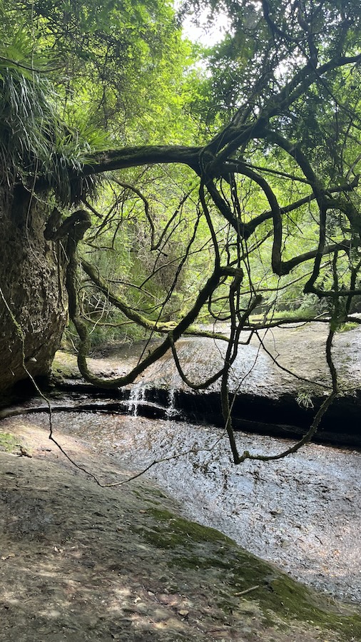 滑川の景色画像２